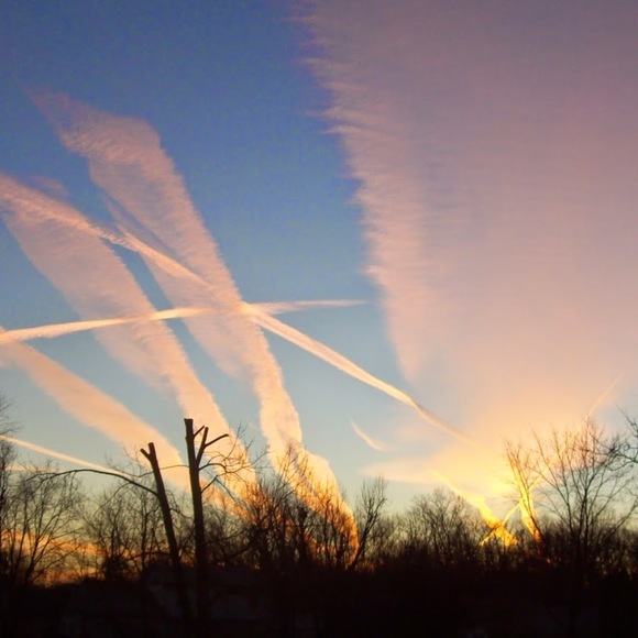 Meet your Posher, Sarah - Picture 1 of 1